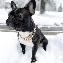 🐶Thick Gold Chain Pets Safety Collar (adjustable)