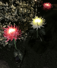 🎁 SPRING ARTIFICIAL Chrysanthemum SOLAR GARDEN STAKE LED