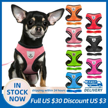 Adjustable Mesh Puppy Harness Vest with Leash for Small and Medium Dogs & Cats