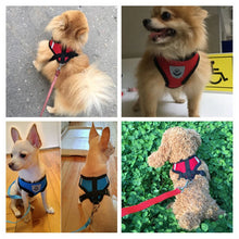 Adjustable Mesh Puppy Harness Vest with Leash for Small and Medium Dogs & Cats