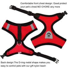 Adjustable Mesh Puppy Harness Vest with Leash for Small and Medium Dogs & Cats