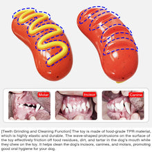 Squeaky Hot Dog Chew Toy for Dogs