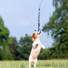 Retractable Dog Interactive Stick Toy