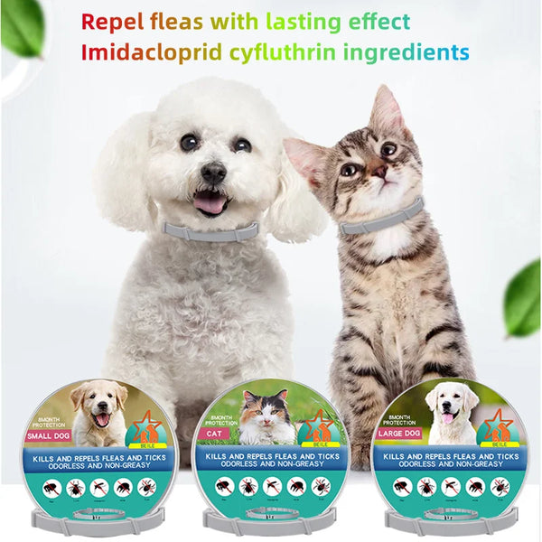 Dog and Cat Anti-Flea & Tick Collar