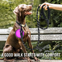 Reflective Nylon Dog Leash with Soft Handle