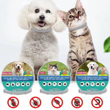 Retractable Pet Dog & Cat Anti-Parasitic Collar