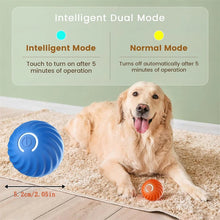 Smart Interactive Bouncing Ball for Dogs