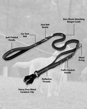 Heavy Duty Dog Leash with Elastic Bungee