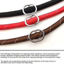 Adjustable Nylon Pet Lead Leash with P Chain