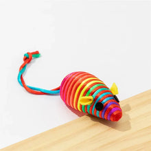 Pet Cat Toy Color Winding Mouse