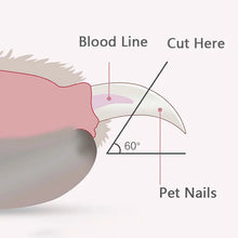 Professional Pet Nail Clippers with LED Light and Safety Guard