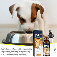 Skin & Coat Supplement for Dogs and Cats