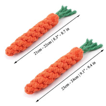 Durable Carrot Rope Chew Toy for Dogs