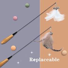 Wooden Handle Spring Cat Teaser Stick with Feather Toy