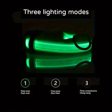 Nylon LED Night Safety Flashing Glow Dog Collar