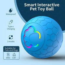 Smart Interactive Rechargeable Pet Ball