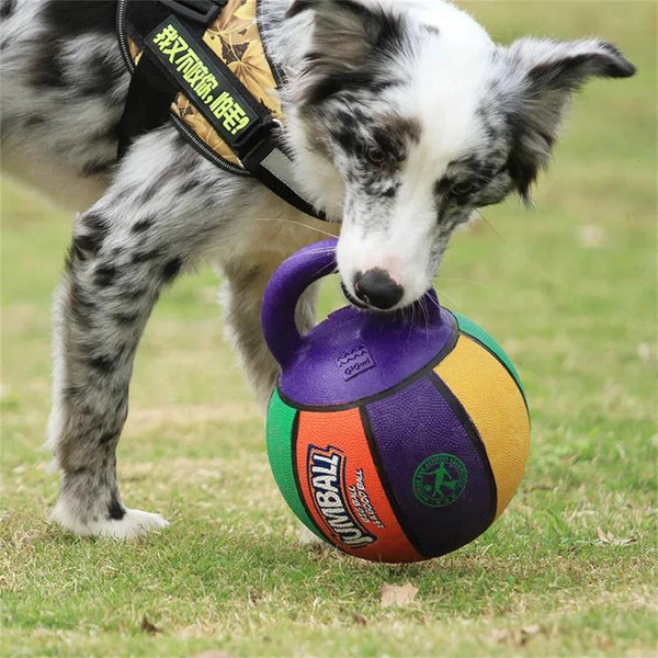 Bite-Resistant Rubber Handle Dog Toy Ball