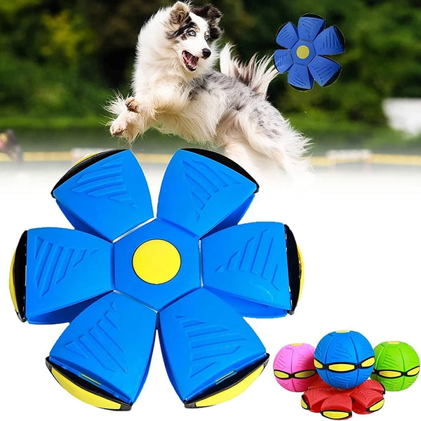 Magic Flying Saucer Ball for Dogs