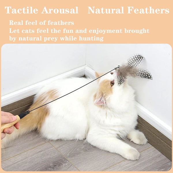 Wooden Handle Spring Cat Teaser Stick with Feather Toy