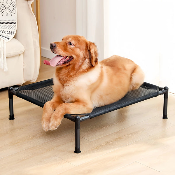 Elevated Pet Bed - Portable and Durable for Dogs and Cats