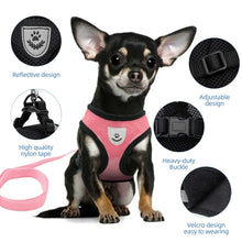 Adjustable Mesh Puppy Harness Vest with Leash for Small and Medium Dogs & Cats