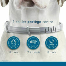 Dog and Cat Anti-Flea & Tick Collar