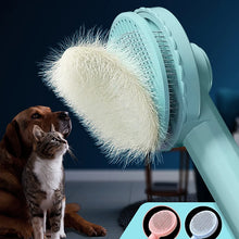 Cat & Dog Grooming Brush with One-Click Hair Removal