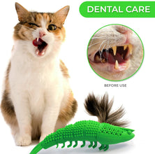 Cat Toothbrush Toy - Durable Hard Rubber for Dental Care and Interactive Play