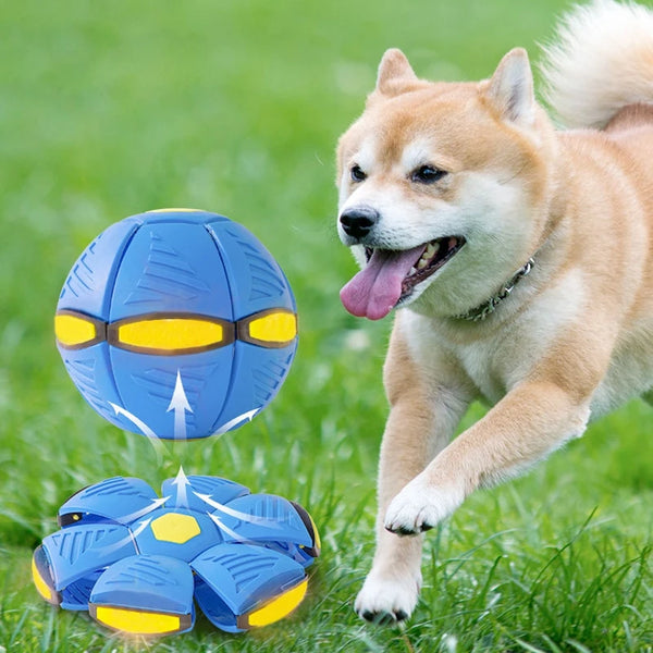 Magic Flying Saucer Ball for Dogs