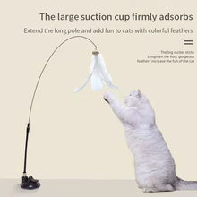 Interactive Cat Toy Handfree Cat Stick with Suction Cup and Feather Wand