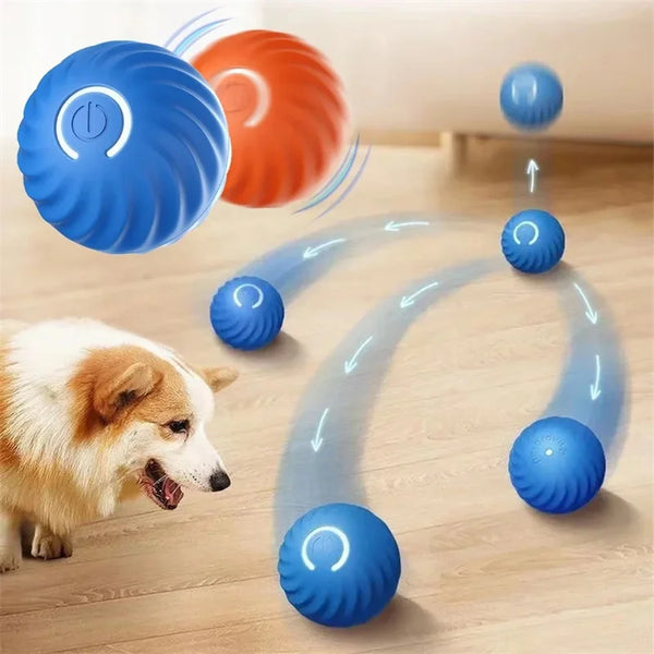 Smart Interactive Bouncing Ball for Dogs