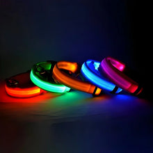 Nylon LED Night Safety Flashing Dog Collar