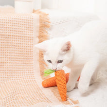 Sisal Carrot Cat Toy - Dental Chew and Teething Toy for Indoor Cats