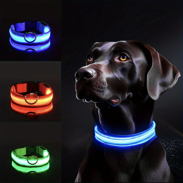 Nylon LED Night Safety Flashing Glow Dog Collar