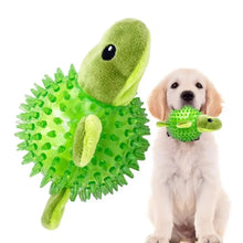 Squeaky Turtle Shape Chew Toy for Dogs