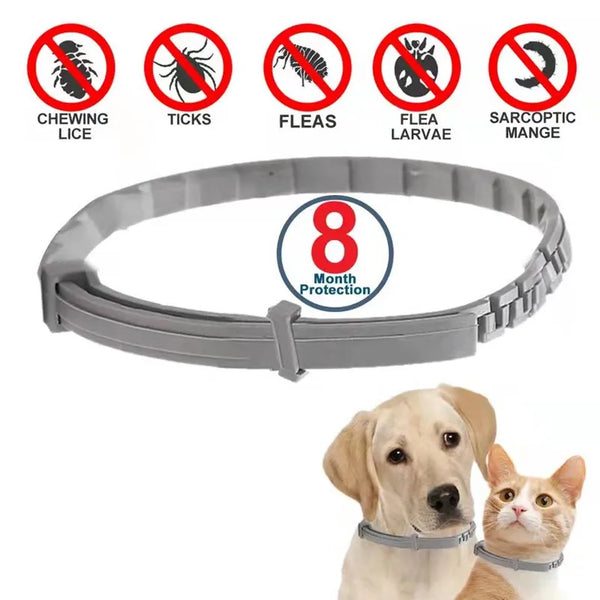 Dog and Cat Anti-Flea & Tick Collar