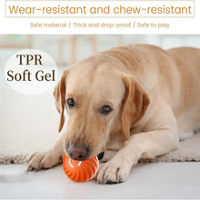 Smart Interactive Bouncing Ball for Dogs