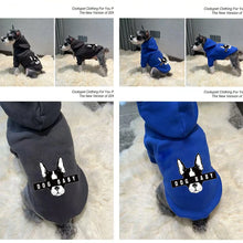 Warm Autumn Winter Dog Sweater with Hood