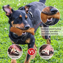 Durable Wooden Deer Antler Chew Toy for Aggressive Chewers