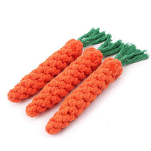 Durable Carrot Rope Chew Toy for Dogs