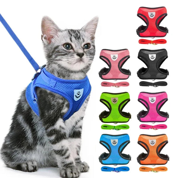 Cat Harness Vest with Walking Lead Leash for Small to Medium Pets