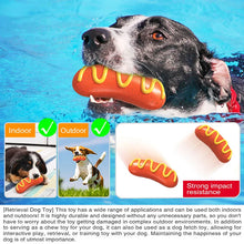 Squeaky Hot Dog Chew Toy for Dogs