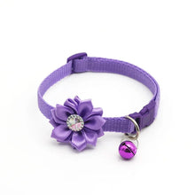 Pet Flower Collar with Bell