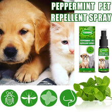 Pet Dog Flea Killer Vitro Drops