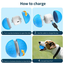 Smart Interactive Rechargeable Pet Ball