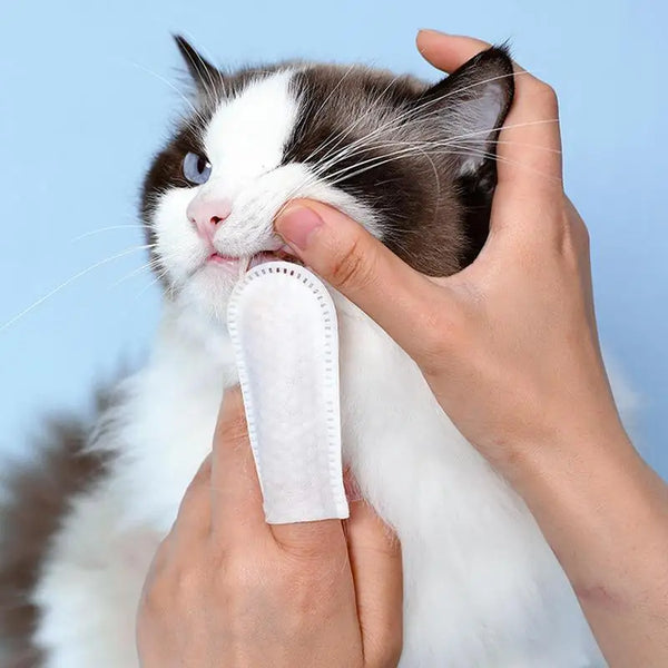 Pet Teeth Cleaning Finger Wipes