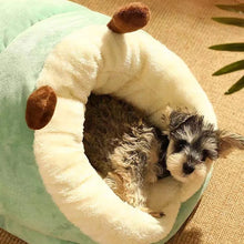 Slipper-Shaped Pet Bed for Small Dogs and Cats