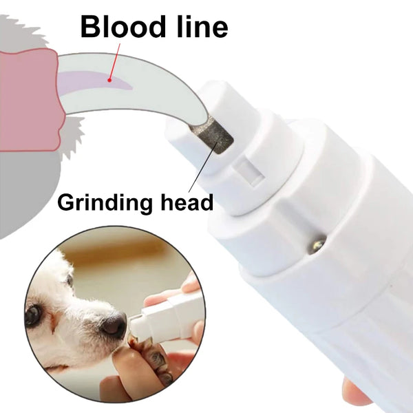 Rechargeable Electric Pet Nail Grinder with LED Light and 2-Speed Control