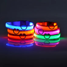 Nylon LED Night Safety Flashing Dog Collar