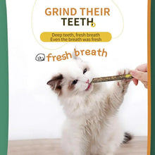 Catnip Pet Cat Molar Chew Sticks